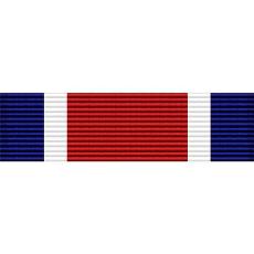 Washington D.C. National Guard Attendance Ribbon